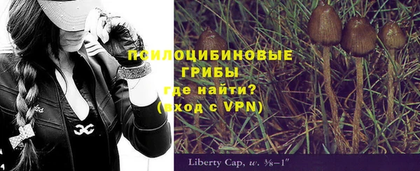 2c-b Алексин