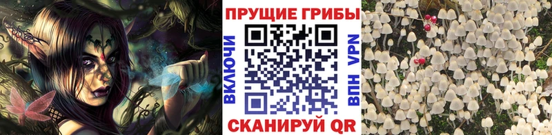 нарко площадка формула  Сургут  Галлюциногенные грибы ЛСД 