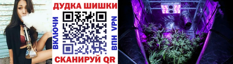 Канабис OG Kush Сургут